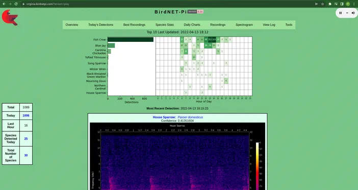 Capture d'écran de l'interface BirdNET-Pi affichant les statistiques des détections d'oiseaux et un spectrogramme.