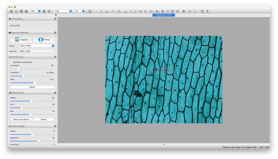 Capture d'écran de l'interface du logiciel Swift Imaging v3 affichant une image microscopique en bleu.