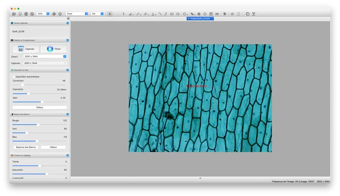Capture d'écran de l'interface du logiciel Swift Imaging v3 affichant une image microscopique en bleu.